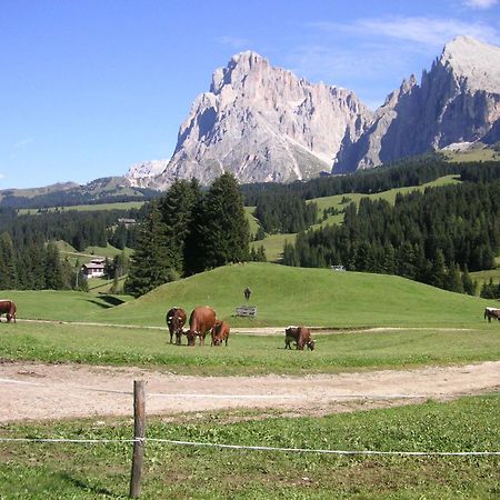 Hotel Flora Selva di Val Gardena Dış mekan fotoğraf