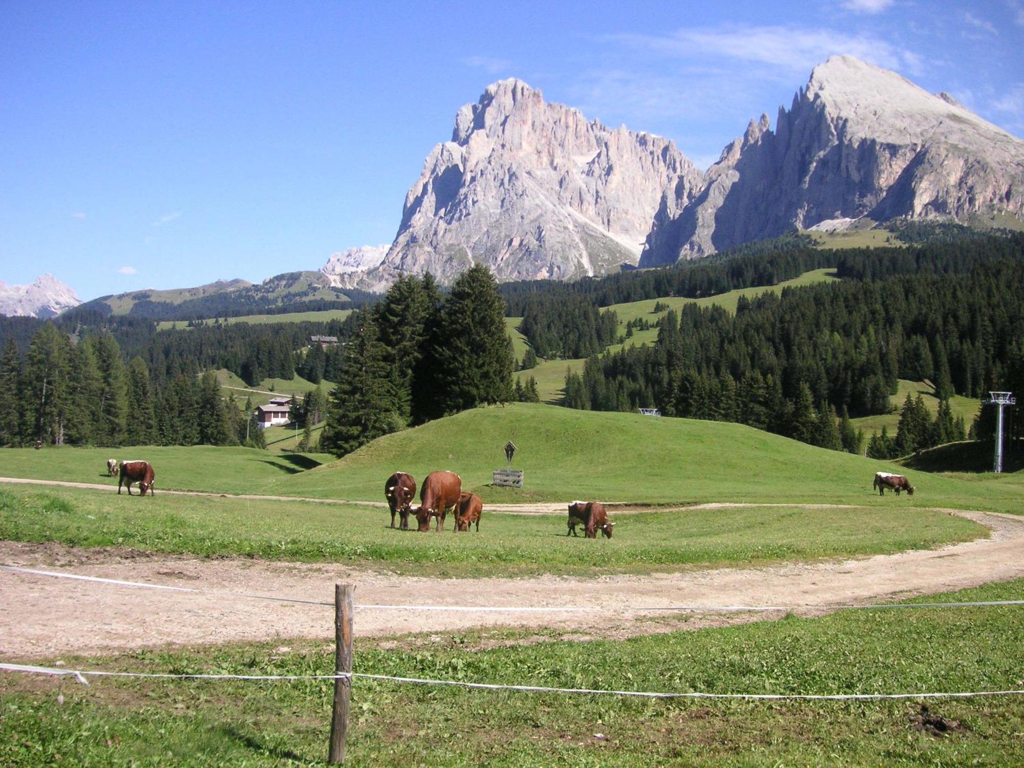 Hotel Flora Selva di Val Gardena Dış mekan fotoğraf